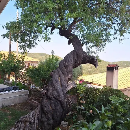 Tsanes Ferienhaus *