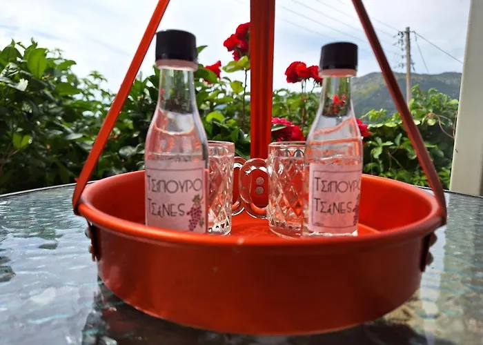 Tsanes Semesterbostad Pinakokhorion