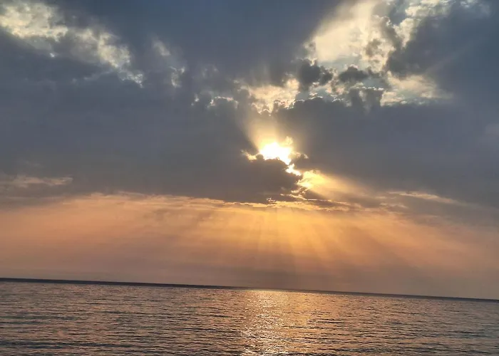 Tsanes Pinakokhorion